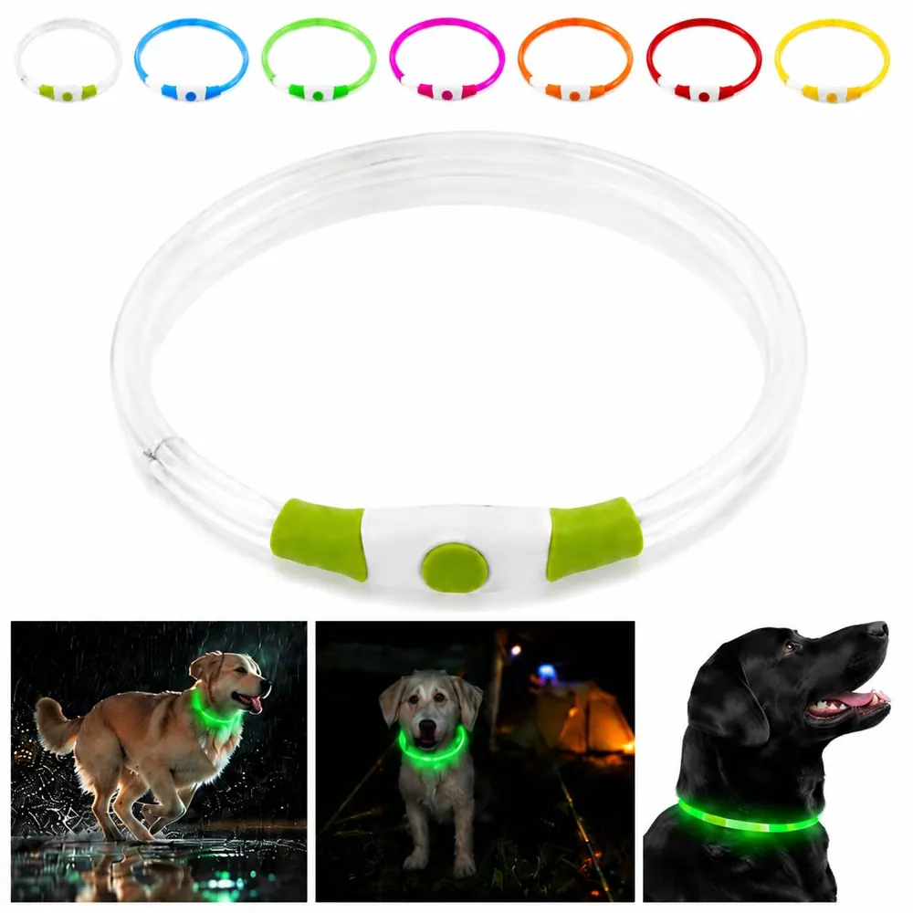 USB Rechargeable LED Dog Collar with Adjustable Strap 2