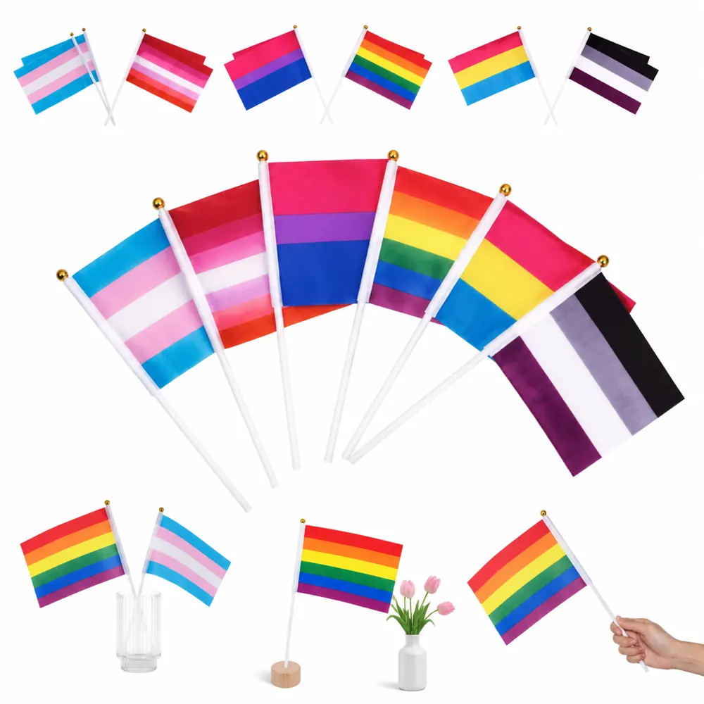 Mini Rainbow Pride Hand Flag Portable Parade Accessory 2