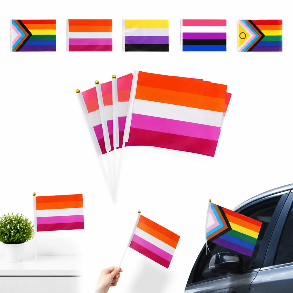 Pride Mini Stick Flag for Parades & Events 2