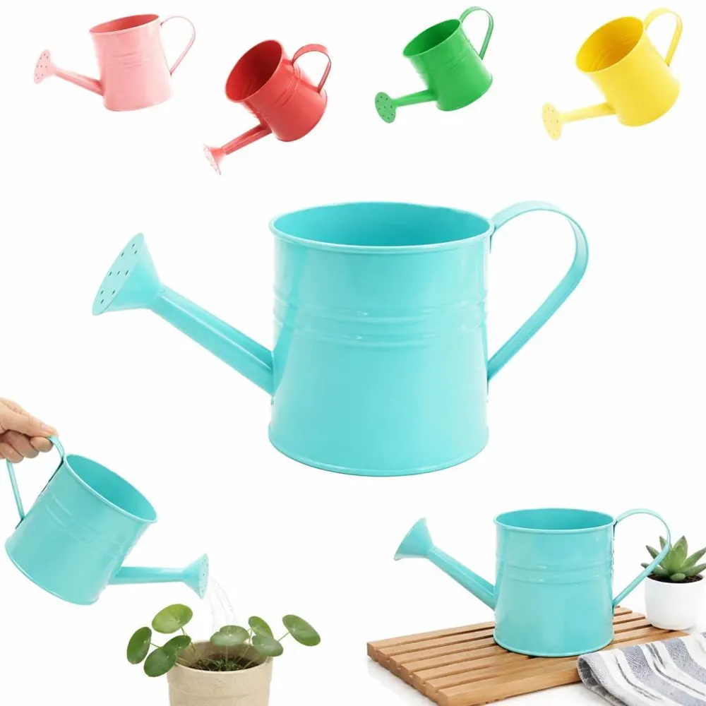 Vintage Metal Watering Can Planter for Indoor Outdoor 2