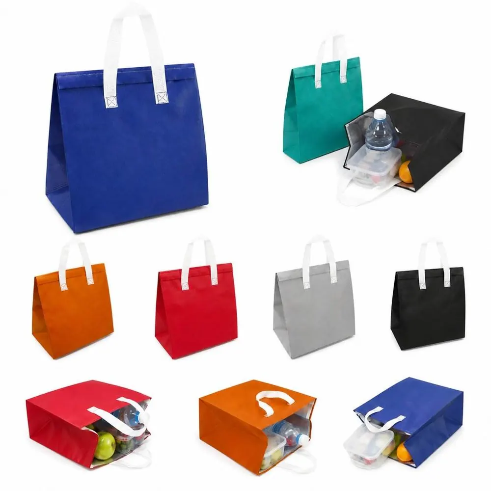 Waterproof Insulated Cooler Tote Bag for Picnic, Beach 2