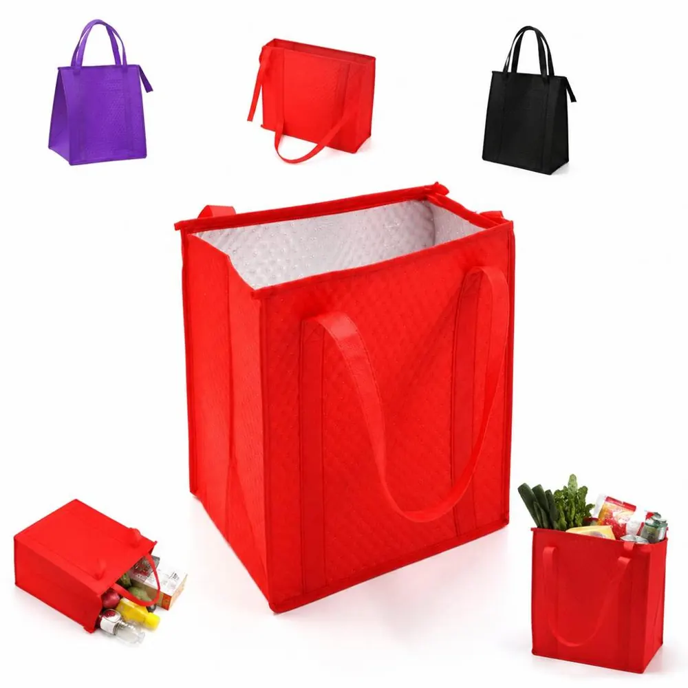 Insulated Tote Bag for Outdoor Travel with Thermal Cooler 2