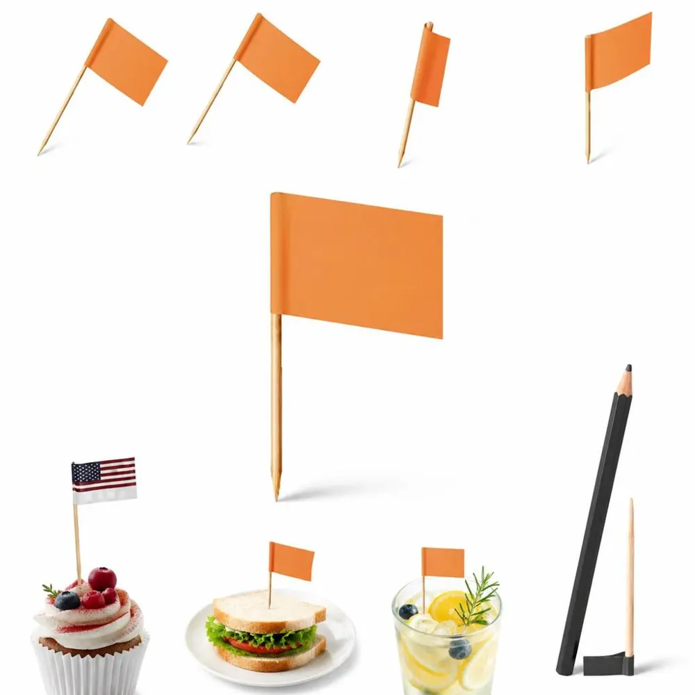 Disposable Plastic Food Flags for Buffets, Party Labeling 2