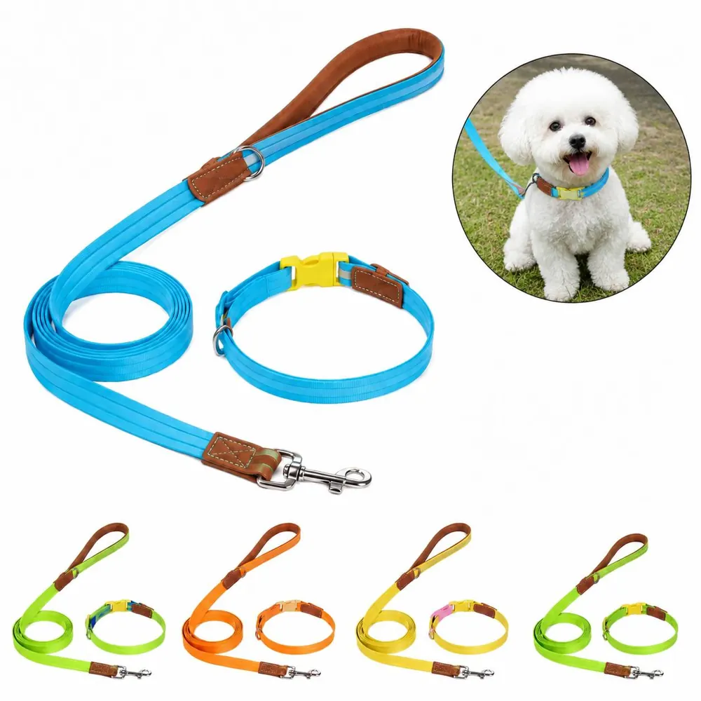 Heavy Duty Nylon Dog Leash Set with Reflective Stitching 2