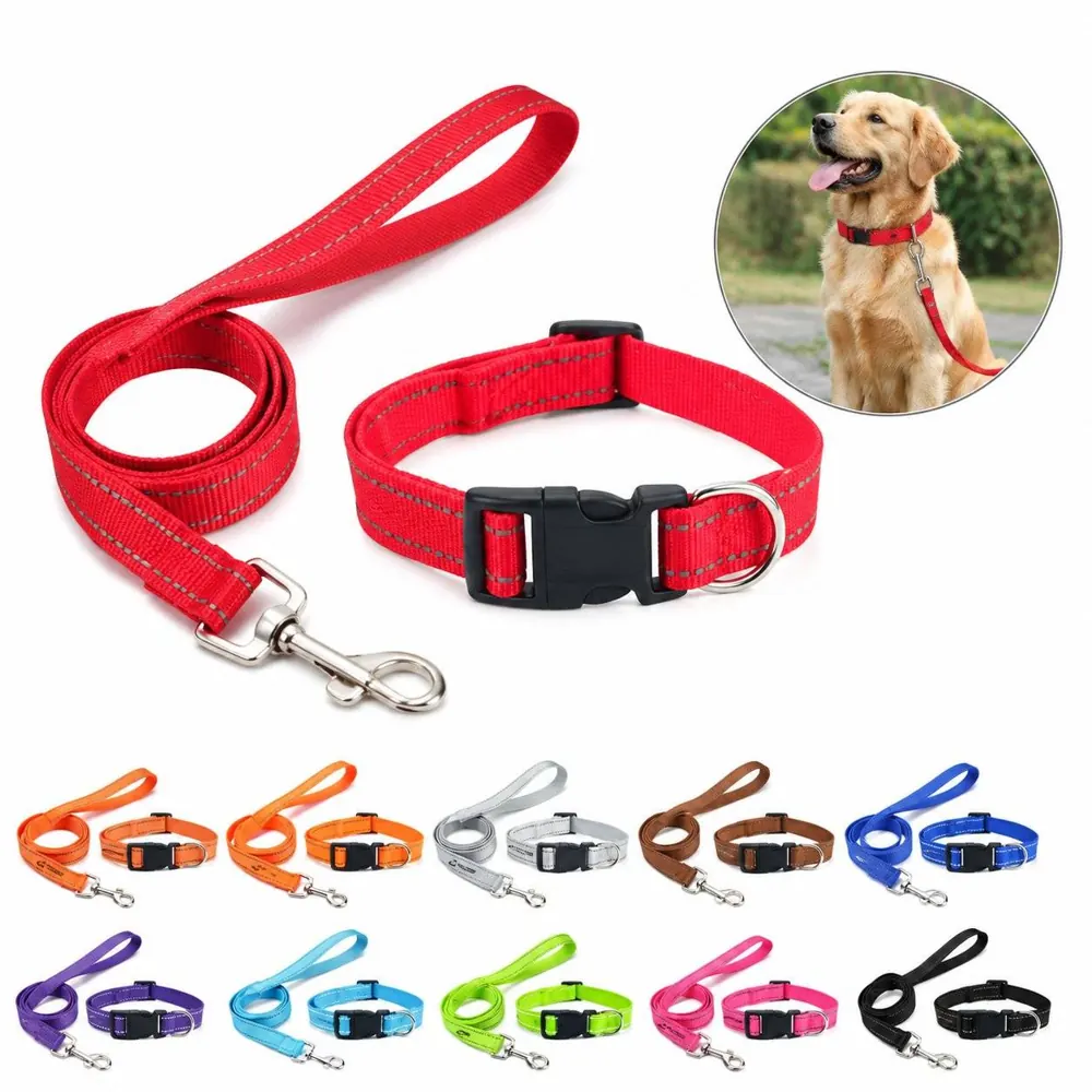 Reflective Nylon Dog Leash with Adjustable Collar 2