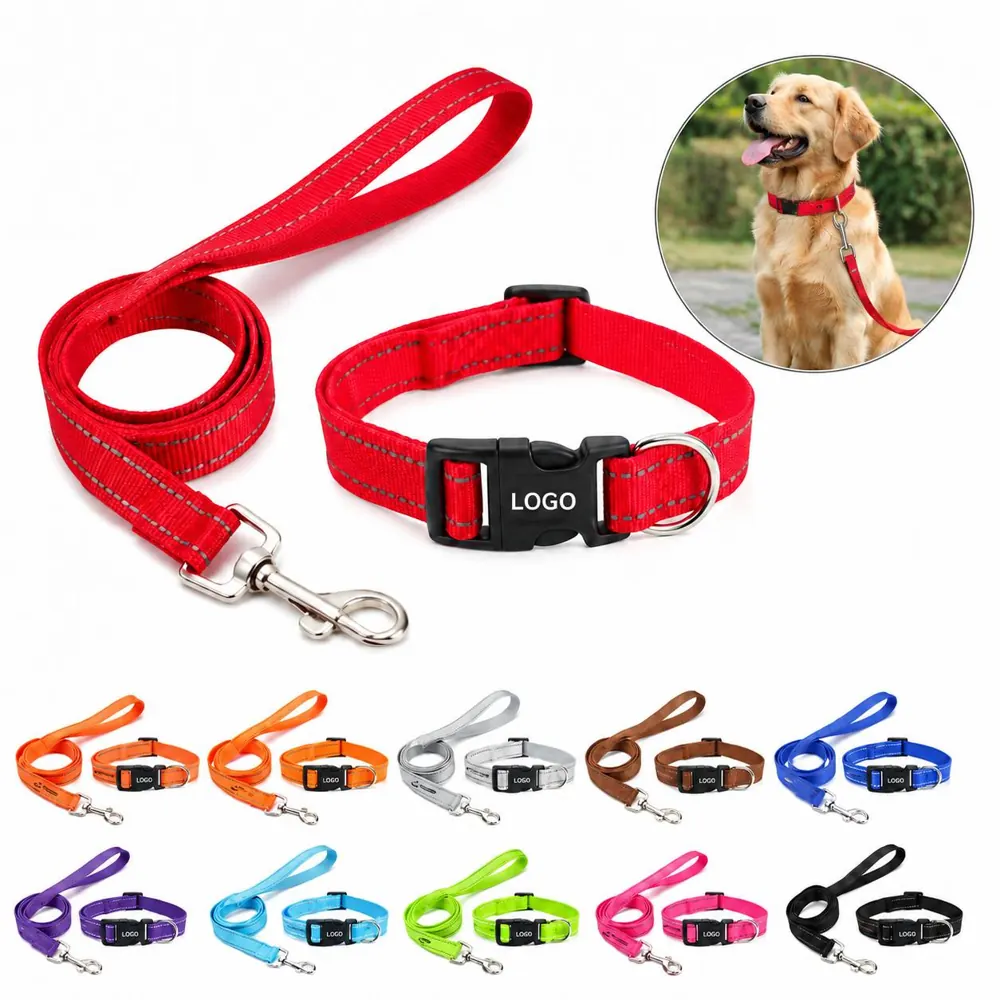 Reflective Nylon Dog Leash with Adjustable Collar