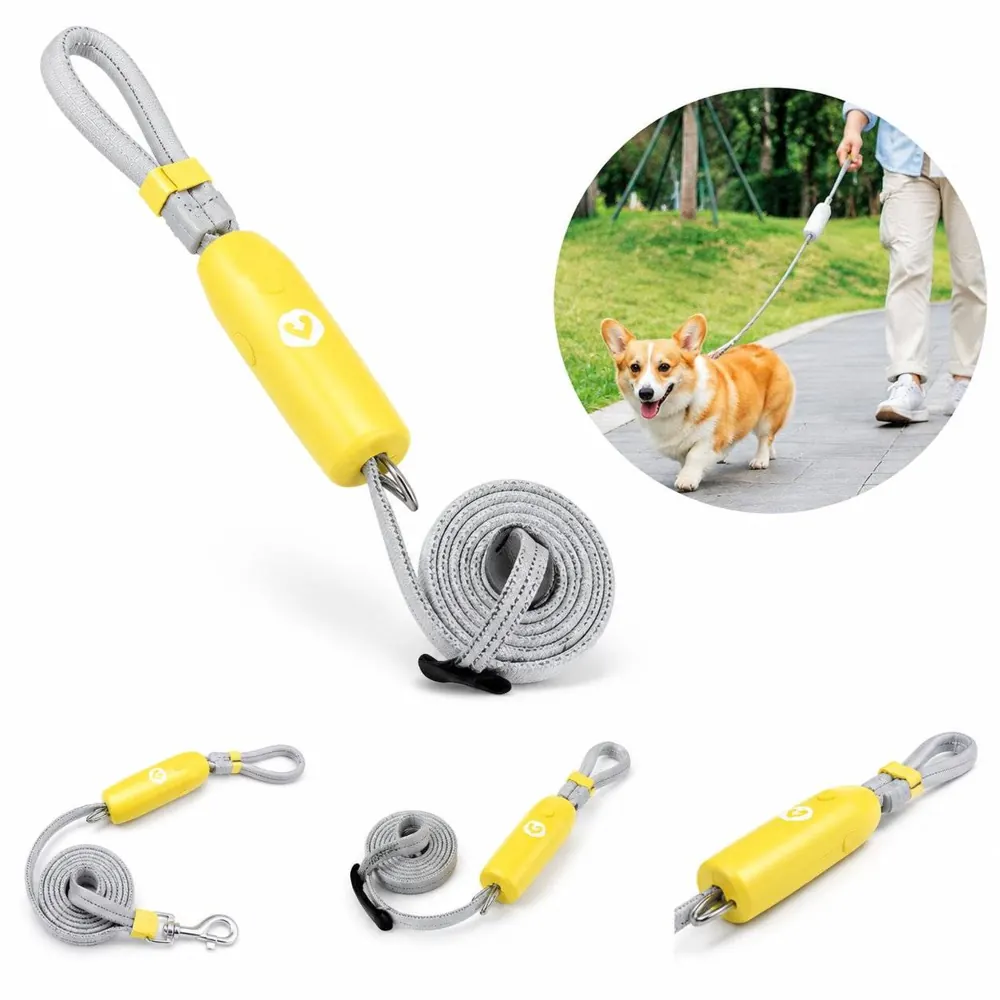 Reflective Nylon Dog Leash with Padded Handle for Small Dogs 2