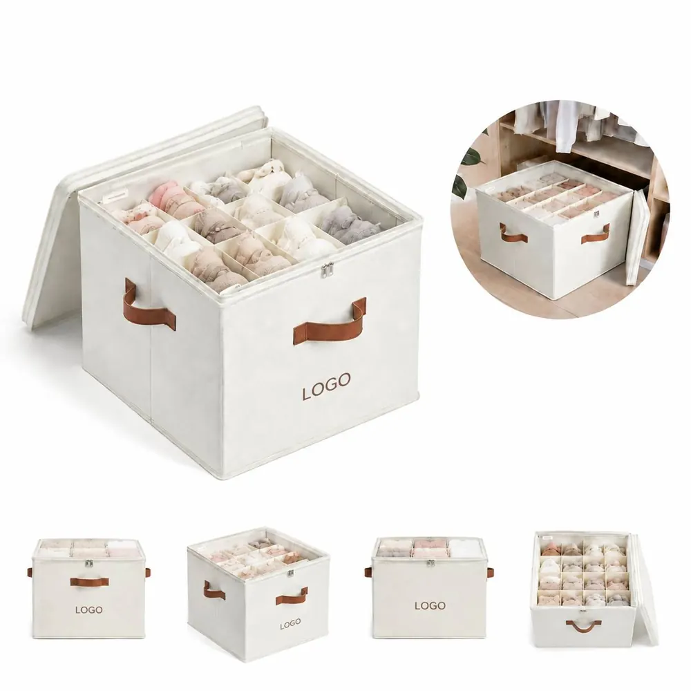 Adjustable Shoe Storage Box with Clear Compartments