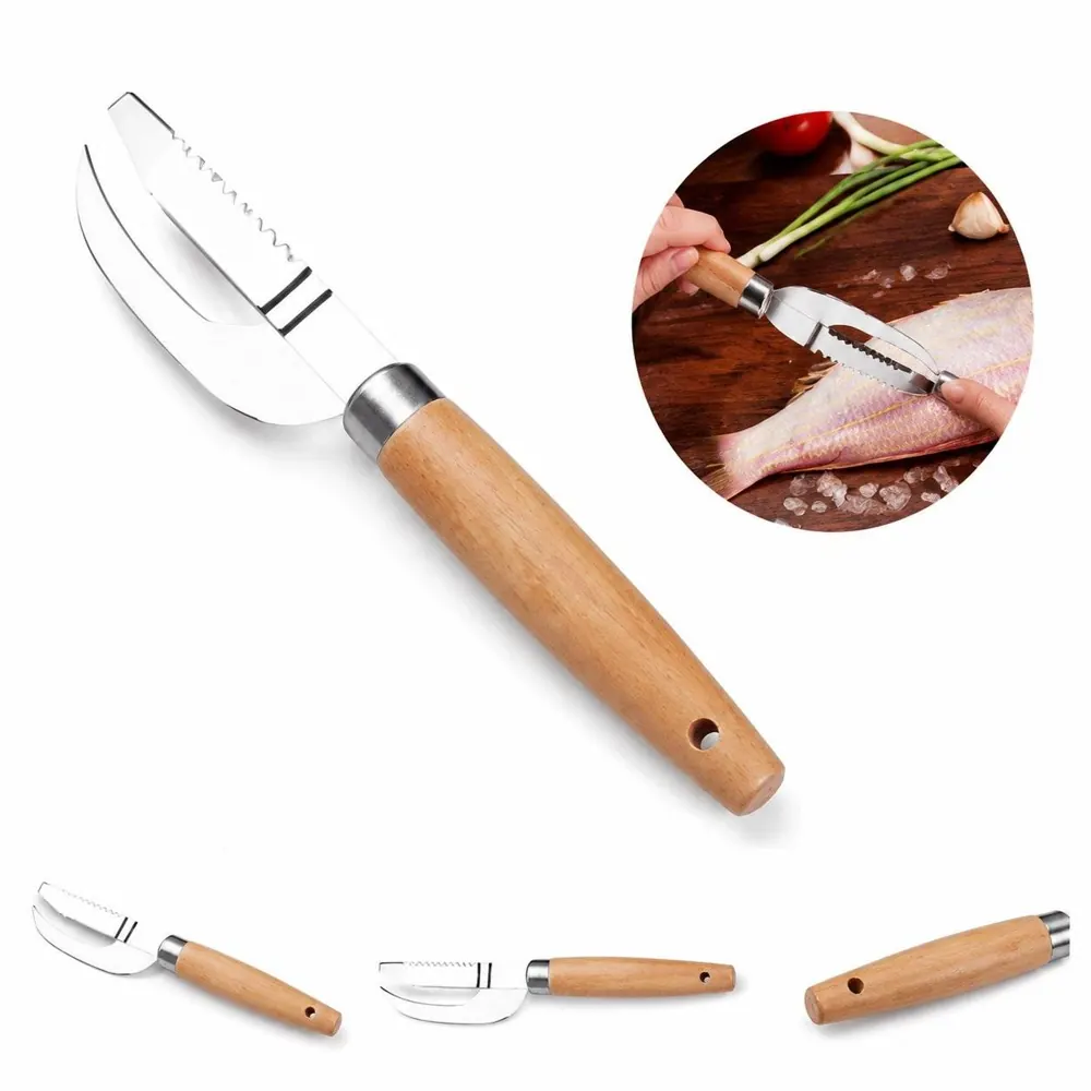 3-in-1 Stainless Steel Fish Scaler Knife with Serrated Edge 2