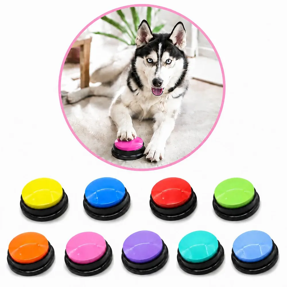 Portable Press-to-Record Voice Button for Notes and Meetings 2