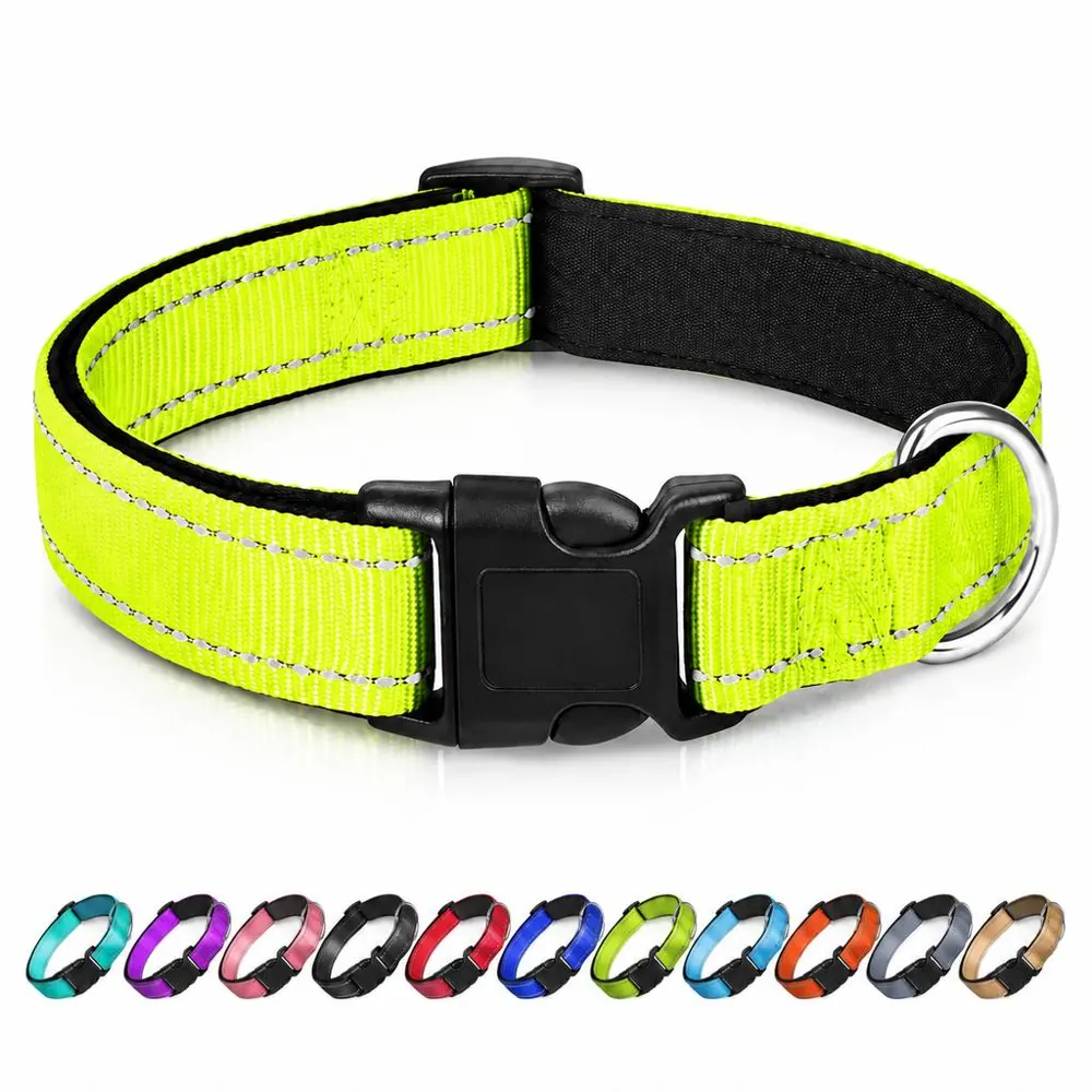 Adjustable Reflective Nylon Dog Collar for Night Walks 2