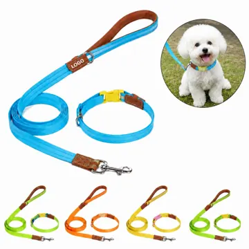 Heavy Duty Nylon Dog Leash Set with Reflective Stitching