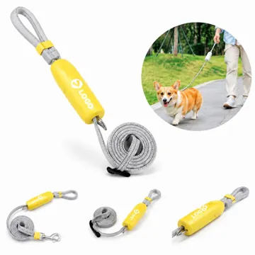 Reflective Nylon Dog Leash with Padded Handle for Small Dogs