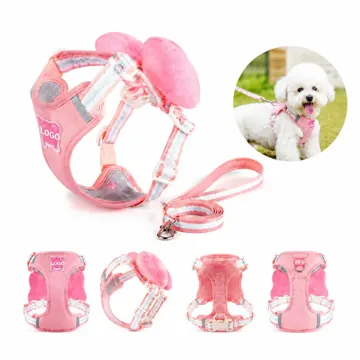 Adjustable Bow Pet Harness with Leash for Dogs