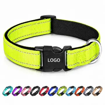 Adjustable Reflective Nylon Dog Collar for Night Walks